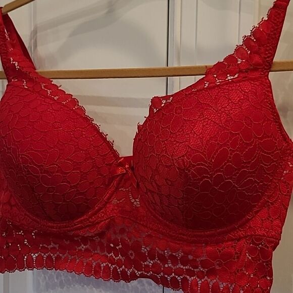 ADRIENNE  Vittavini  sz 36C red lace lightly padded bra - Picture 2 of 7
